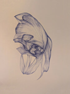 Ce dessin est un dessin fait au stylo bic et qui reprend des formes intuitives. 